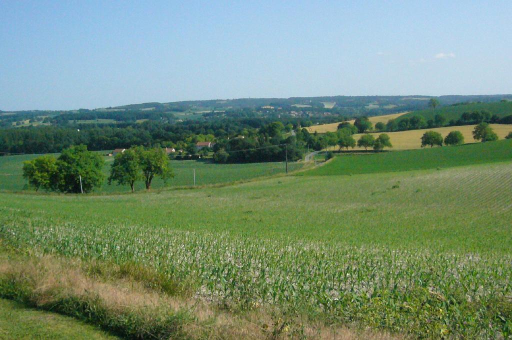Les Gites De La Treille Montagrier 외부 사진
